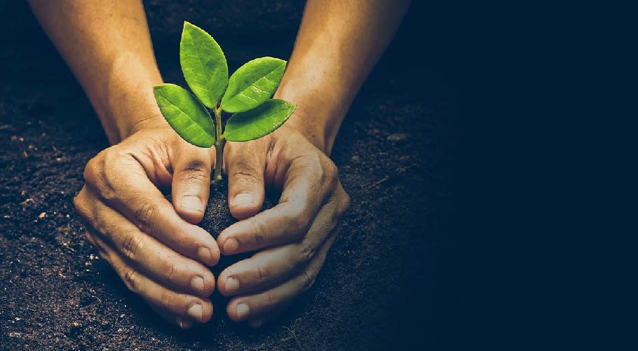 Comprehensive Ingredient Overview for Food, Feed, and Chemical Applications